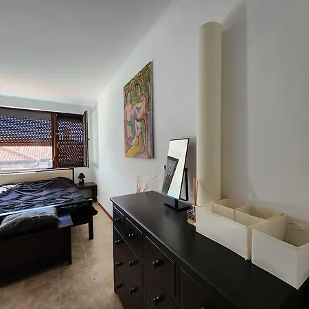 Bay View Sunny Entire Koszarica