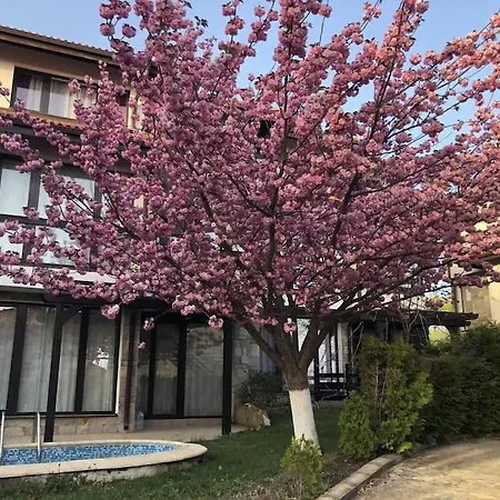 Луксозна вила Bay View Sunny Entire *