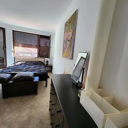 Bay View Sunny Entire Kosharitsa