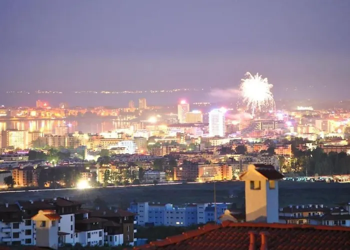 Bay View Sunny Entire * Кошарица